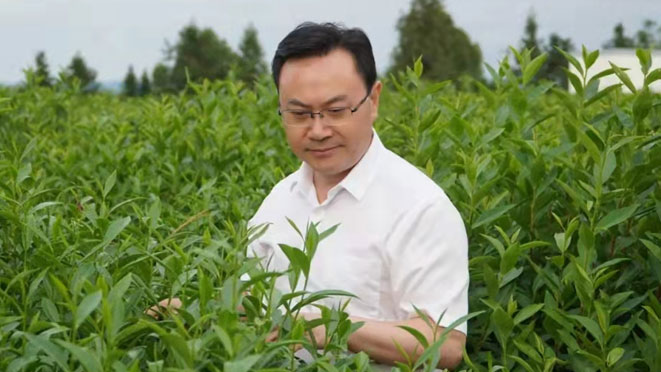 专家团队 刘仲华