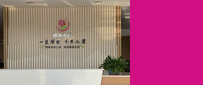 关于银城木槿